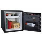 Sentry Fire and Water Safes