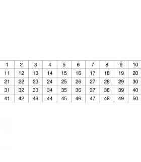 Key Tag Laminated Labels -  showing 5 strips x 10 numbers  per strip 