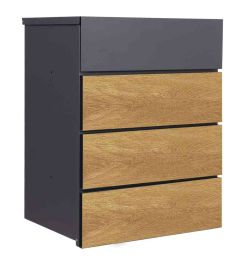 Phoenix PB0581BKG Outdoor Smart Parcel Box - open with barcode for scanning