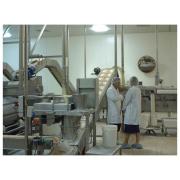 Securikey Food Processing Mirrors
