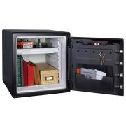  Sentry Fire and Water Safes