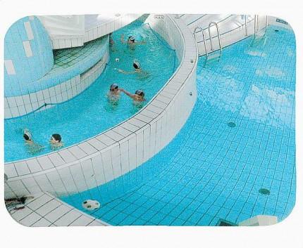 Preventing Accidents at a Public Swimming Pool Thubmnail